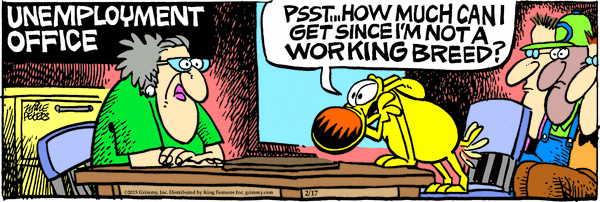 Non-Working Breek