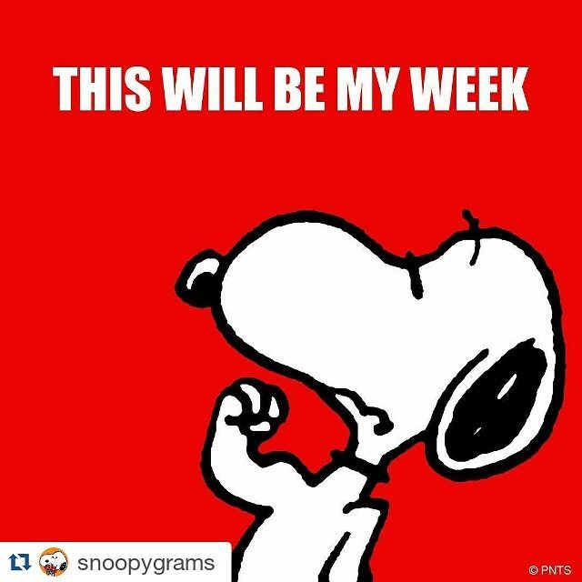 #Repost @snoopygrams ・・・ This will be a good week! #mondaymotivation