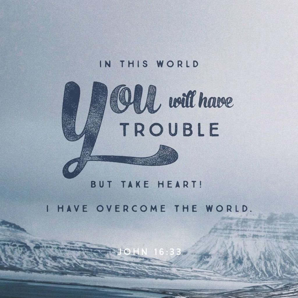 "In this world you will have trouble. But take heart! I have overcome the world." ~John 16:33